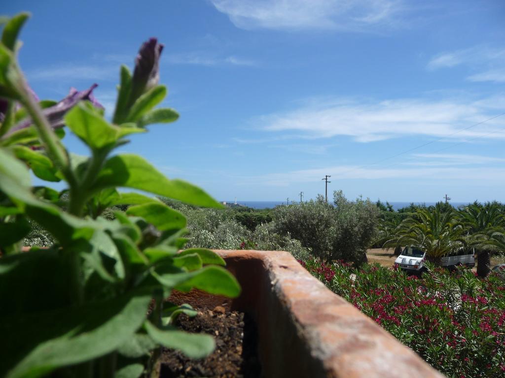 Masseria Serine Santa Maria di Leuca Kültér fotó